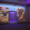 Проекционный дизайн "Виртуальная реальность" базовый комплект 500 анимаций - «globural.ru» - Томск