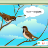 Интерактивное развивающее пособие "Говорящие картинки. Слушаем и повторяем" - «globural.ru» - Томск