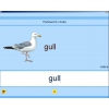 Английский язык. Освоение клавиатуры - «globural.ru» - Томск