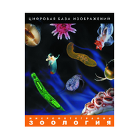 Зоология. Микрофотографии. (Цифровая база изображений) - «globural.ru» - Томск