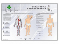 Электрифицированный стенд "Остановка кровотечения" - «globural.ru» - Томск
