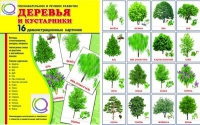 Демонстрационные карточки "Деревья и кустарники" - «globural.ru» - Томск