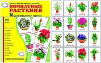 Демонстрационные карточки "Комнатные растения" - «globural.ru» - Томск