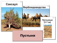 Модель-аппликация "Природные зоны России" - «globural.ru» - Томск
