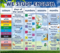 Стенд "We study english" - «globural.ru» - Томск