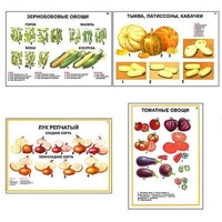 Плакаты ПРОФТЕХ "Ассортимент овощных культур" (12 пл, винил, 70х100) - «globural.ru» - Томск
