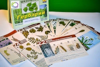 Гербарий к курсу основ общей биологии - «globural.ru» - Томск