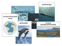 Модель-аппликация "Океаны. Знакомство" (ламинированная) - «globural.ru» - Томск