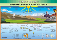 Таблица Возникновение жизни на Земле 1000*1400 винил - «globural.ru» - Томск