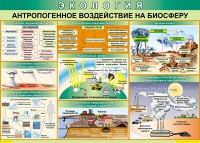 Таблица Антропогенное воздействие на биосферу 1000*700 винил - «globural.ru» - Томск