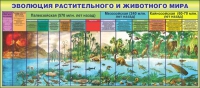 Стенд "Эволюция растительного и животного мира" - «globural.ru» - Томск