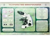 Электрифицированный стенд "Устройство микроскопа и правила работы c ним" - «globural.ru» - Томск