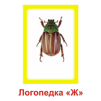 Логопедка "Ж" (логопедические карточки) - «globural.ru» - Томск