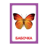 Логопедка "Ч" (логопедические карточки) - «globural.ru» - Томск