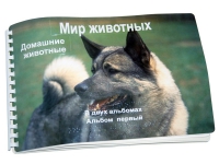 Пособие для слабовидящих "Домашние животные" - «globural.ru» - Томск