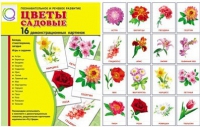 Демонстрационные карточки "Цветы садовые" - «globural.ru» - Томск