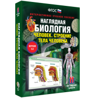 Наглядная биология. Человек. Строение тела человека - «globural.ru» - Томск