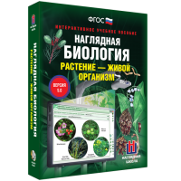 Наглядная биология. Растение - живой организм - «globural.ru» - Томск