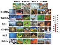 Фенологические наблюдения - «globural.ru» - Томск