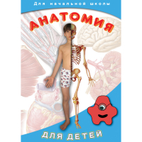 DVD  Анатомия для детей - «globural.ru» - Томск