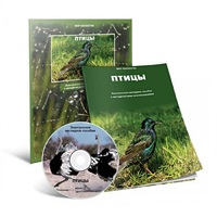 Электронное наглядное пособие «Птицы» - «globural.ru» - Томск