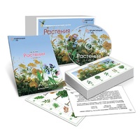 Комбинированное наглядное пособие «Растения» - «globural.ru» - Томск