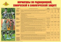 Плакат "Нормативы по радиационной, химической и биологической защите" - «globural.ru» - Томск