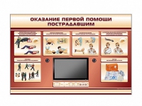 Многофункциональный интерактивный стенд-тренажер "Оказание первой помощи пострадавшим" для учащихся общеобразовательных учреждений - «globural.ru» - Томск