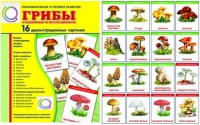 Демонстрационные карточки  "Грибы съедобные и не съедобные" - «globural.ru» - Томск