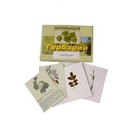 Гербарий "Деревья и кустарники" (22 вида, с иллюстрациями) - «globural.ru» - Томск