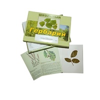 Гербарий "Дикорастущие растения" (30 видов, с иллюстрациями) - «globural.ru» - Томск