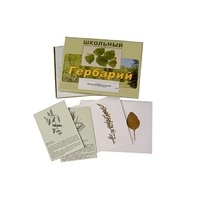 Гербарий "Лекарственные растения" (22 вида, с иллюстрациями) - «globural.ru» - Томск