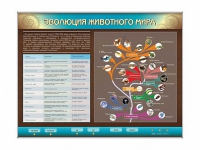 Интерактивный электрифицированный стенд "Эволюция животного мира" - «globural.ru» - Томск