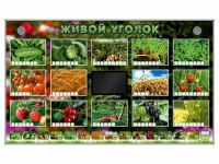 Комплект оборудования "Живой уголок" (растения) - «globural.ru» - Томск