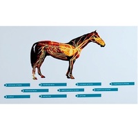 Стенд-планшет светодинамический "Изучение кровеносной системы сельскохозяйственных животных" со сменными панелями - «globural.ru» - Томск