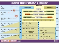 Таблица демонстрационная "Сравнение понятий изомер и гомолог" (винил 100х140) - «globural.ru» - Томск
