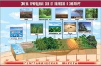 Таблица демонстрационная "Смена природных зон от полюсов к экватору" (винил 70x100) - «globural.ru» - Томск