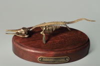 Модель скелета ихтиозавра Ichthyosaurus - «globural.ru» - Томск