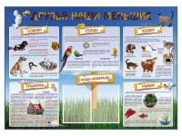 Стенд-уголок "Друзья наши меньшие" - «globural.ru» - Томск