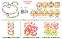 Плакаты и таблицы по общей химии - «globural.ru» - Томск