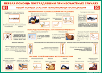  Таблица Общий порядок оказания первой помощи пострадавшим 1000*1400 винил	 - «globural.ru» - Томск