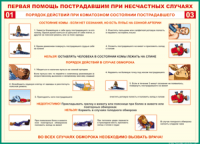Таблица Порядок действий при коматозном состоянии пострадавшего 1000*1400 винил - «globural.ru» - Томск