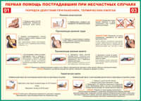 Таблица Порядок действий при ранениях и термических ожогах	 1000*1400 винил - «globural.ru» - Томск