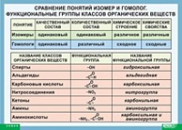 Химия. Сравнение понятий изомер и гомолог. Функциональные группы классов органических веществ (винил) - «globural.ru» - Томск