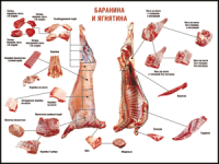 Правила разделки мясных туш "Баранина и ягнятина" 1000*1400 винил - «globural.ru» - Томск