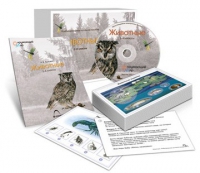 Комбинированное наглядное пособие «Животные» - «globural.ru» - Томск