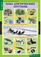 Окружающий мир 4 класс (комплект таблиц) - «globural.ru» - Томск