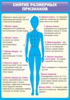 Стенд "Снятие мерок" (вариант 2) - «globural.ru» - Томск