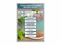 Стенд "Схема приготовления мясных котлет" - «globural.ru» - Томск