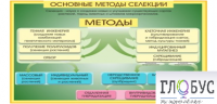 Стенд "Методы селекции и биотехнологии" - «globural.ru» - Томск